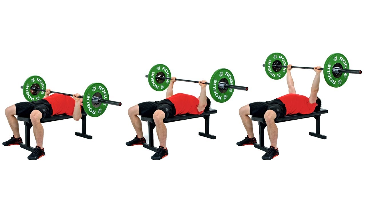Bench Press