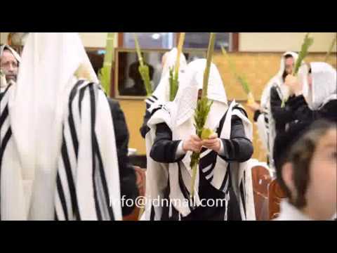 Sukkahs 5776 In Beis Chaim Shia