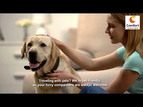 Comfort Suites Wytheville Hotel | Hotels near I-77 Wytheville VA | Wytheville VA Pet Friendly Hotels