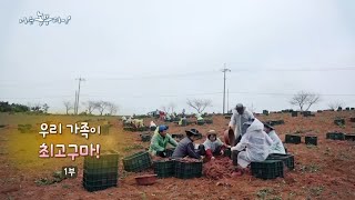 [168회_1부] 우리 가족이 최고구마!