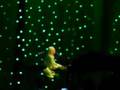 Tori Amos Devils and Gods live in frankfurt 30-06-2007