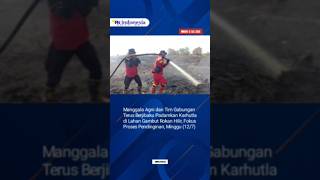 Manggala Agni Terus Berjibaku Padamkan Karhutla di Rohil, Fokus Memutus Bara Api Bagian Bawah Gambut
