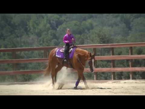 McKylie Short Stirrup