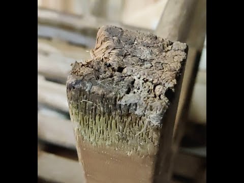 Repair of rotten wooden garden chair legs