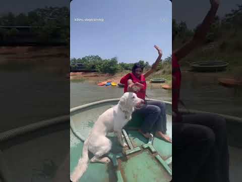 We went kayaking for Aprils birthday 🩷 #kayakingwithdog #goldenretreiver #kayaking #birthday thday