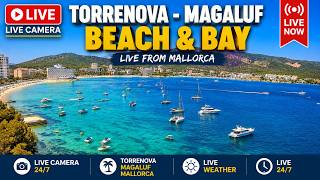 🌞🌊 Mallorca Webcam Magaluf/Palmanova Playa Son Maties 4K UHD|24/7 |#Live #beach  #Balearics #Webcams
