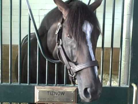 Tiznow WinStar Farm 6.2011 3.AVI