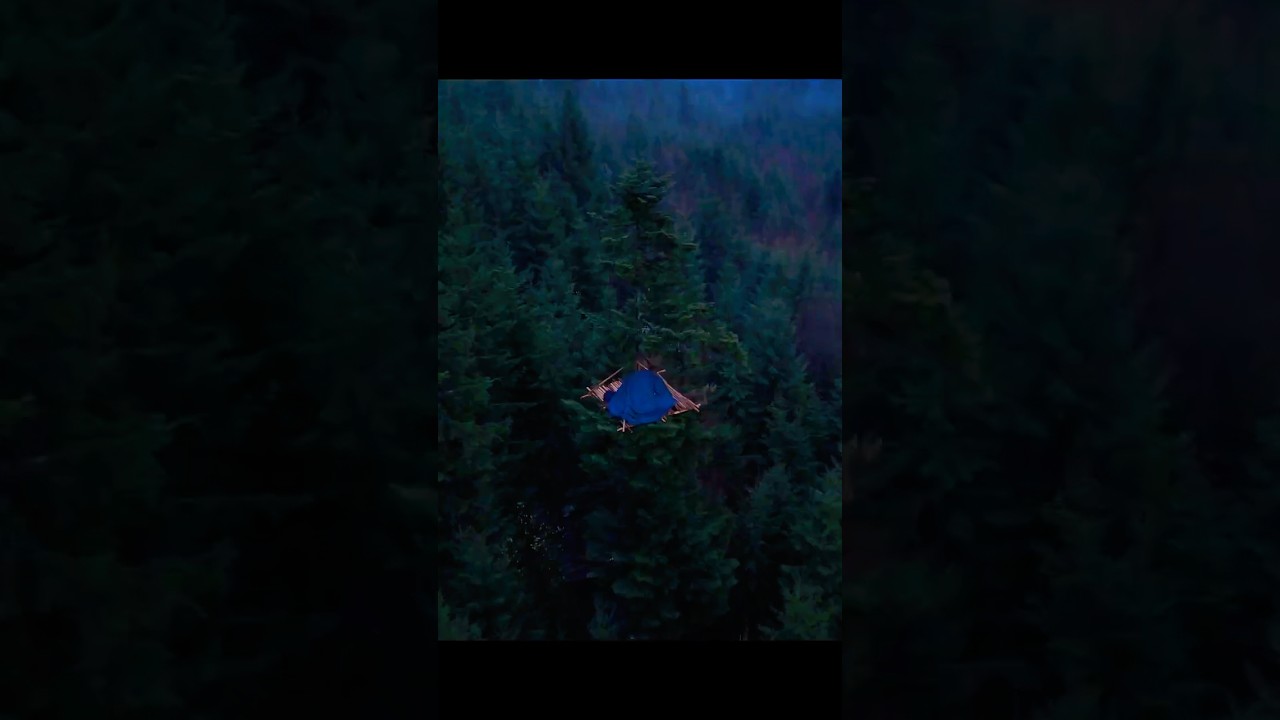 Tree Shelter Saved Me from the Wolf Pack