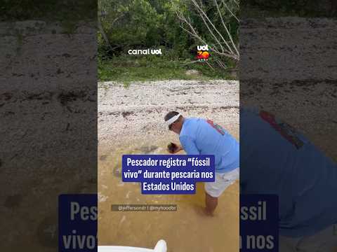 Pescador registra “fóssil vivo” durante pescaria nos Estados Unidos
