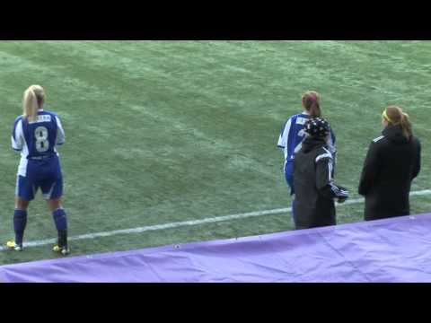 Kooste Potkua avustajakoiratoimintaan 2014 -tapahtumasta