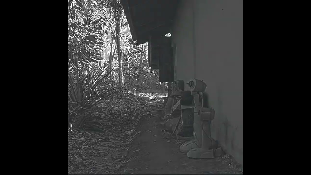 The handsaw murder #horror #music #edit