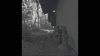 The handsaw murder #horror #music #edit