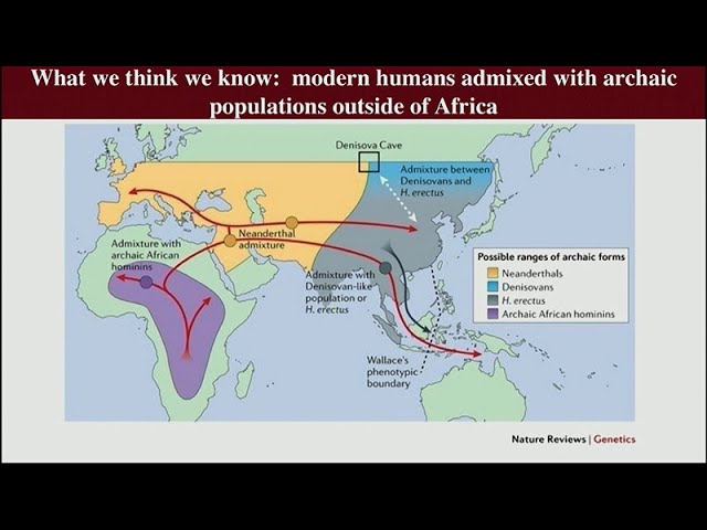 Video de pronunciación de migrations en Alemán