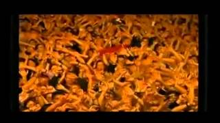 S1MONE - (You Make Me Feel Like a) Natural Woman - Mary J. Blige