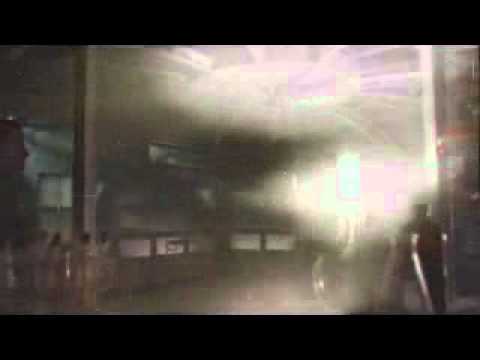 ♥ Fight for Love & Freedom ♥