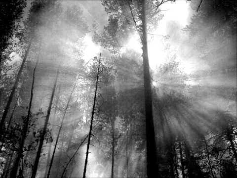 Wynardtage - Dunkler Schatten