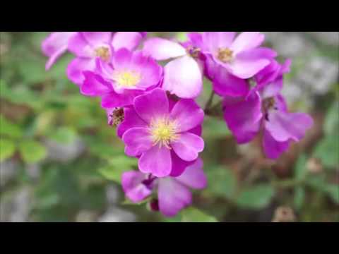 comment regler exposition