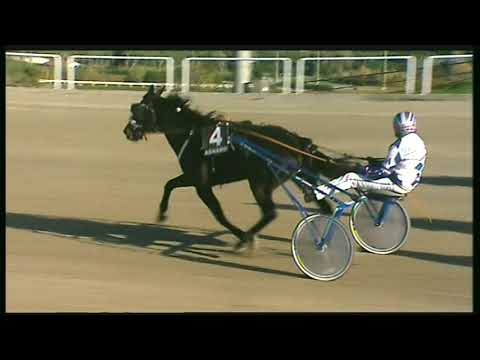 Trotto 22/11/2020 - 3ª corsa