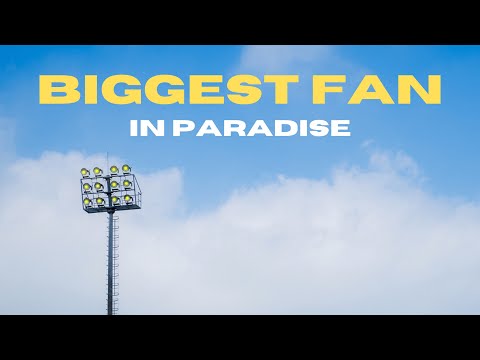 IN PARADISE - Biggest Fan (Official Audio)