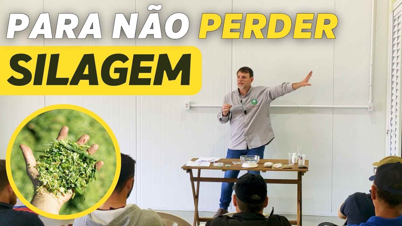 TUDO SOBRE SILAGEM - AULA COMPLETA