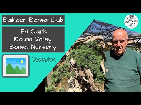 Ed Clark - Round Valley Bonsai Nursery - Baikoen Bonsai Club - Safer @ Home Bonsai Series