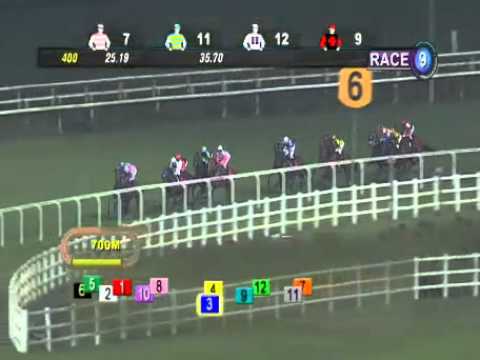 SINGAPORE RACE 27/09/2013 RACE 9  - iAgencyNet