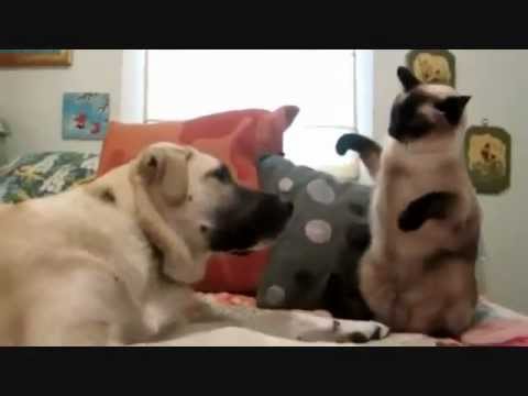 Epic Fail Compilation January 2012 Part 1! Lol - Videos