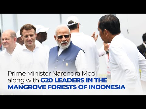 Prime Minister Narendra Modi along with G20 leaders in the Mangrove Forests of Indonesia l PMO
