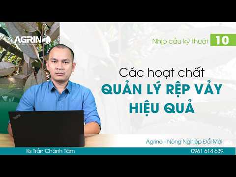 Nhịp cầu kỹ thuật Agrino: CÁC HOẠT CHẤT QUẢN LÝ RỆP VẢY HIỆU QUẢ TRÊN SẦU RIÊNG