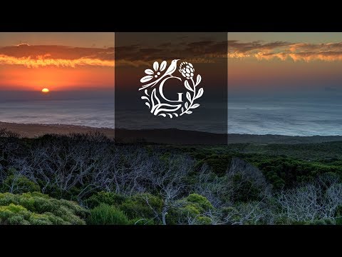 Grootbos Introduction