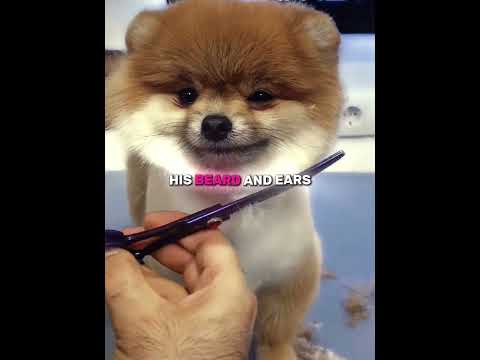 He Got Ready For Party!