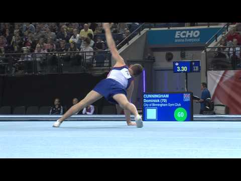 DOMINICK CUNNINGHAM FX APPARATUS FINAL 2014 BRITISH - MASTERS