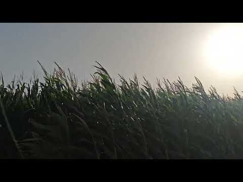 #coucher du soleil #dokala