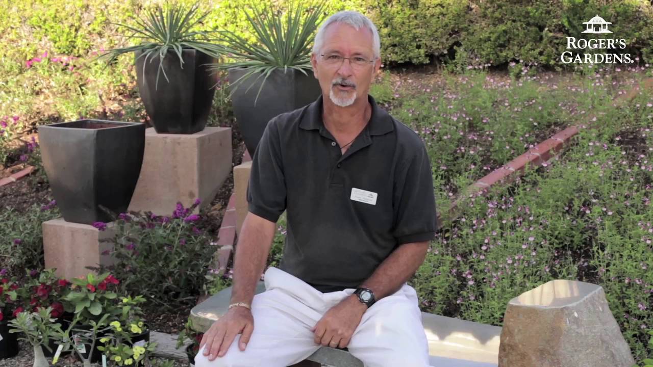 Gardening 101 Series | How do you Control or Prevent Weeds