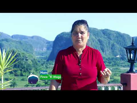 Taller sobre equidad de de género en el contexto de CIENPINOS (Pinar del Río). Segunda parte