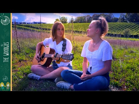 The Everly Brothers - All I Have To Do Is Dream (Cover)