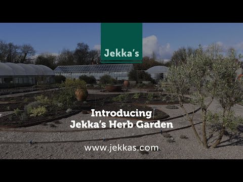 Introducing Jekka's Herb Garden
