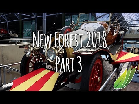 Caravanning in the New Forest - Part 3