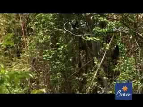 Bravo Club Andilana Beach - Madagascar