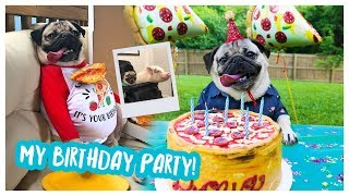 Doug The Pug's Birthday Party