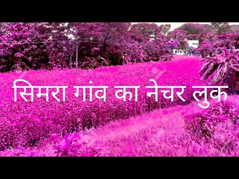 💃#start only beautiful village simra nature#Nice looks village life