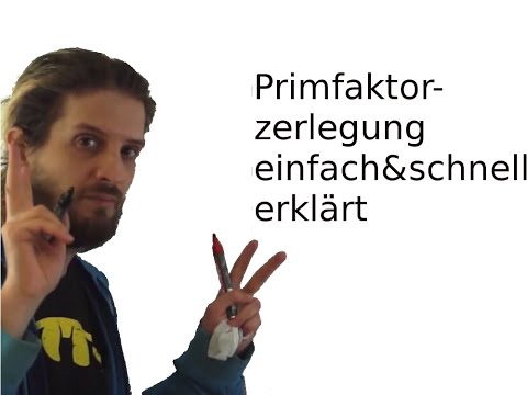 Primfaktorzerlegung, schnell und einfach erklärt mit Beispielen