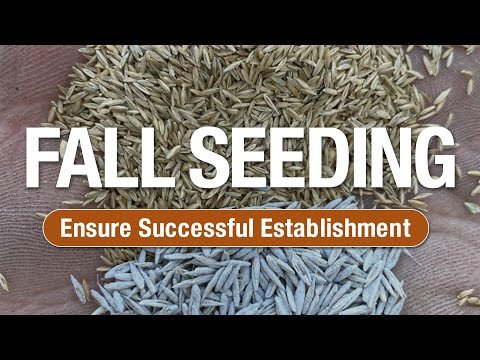 2 Minute Turf Talk - Fall Seeding