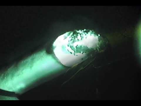 YGF - NAKA SHUK (VISUAL)