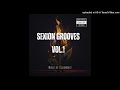 SexionBoyz - Sexion Grooves vol.1(Asssertive Fam,Ceekay,Jeje,Ace no Tebza,KP,Biza wethu,Thimon King)