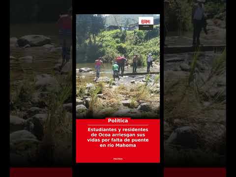 Estudiantes y residentes de Ocoa arriesgan sus vidas por falta de puente en río Mahoma  #Shorts