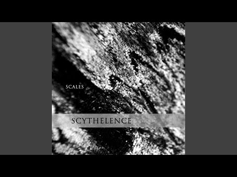 Transverse Orientation