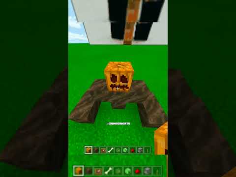 Insane Minecraft Glitch: Spawn Mutant Skeleton!