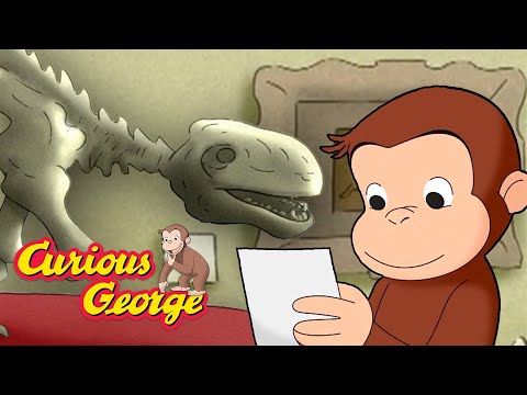 Where's the Missing Dinosaur Bone!? 🐵 Full Episodes | Curious George