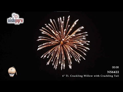 NS6422 - Crackling Willow